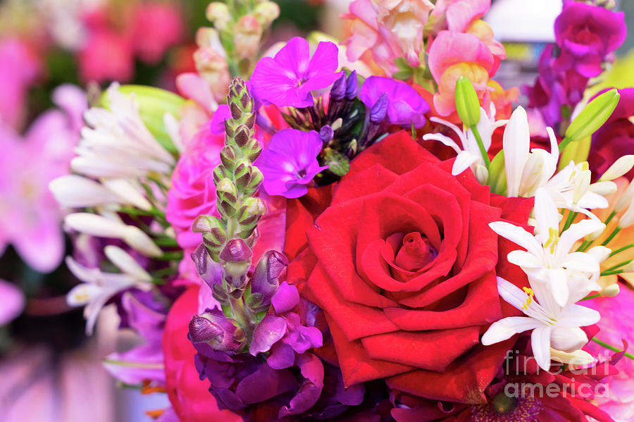 Bouquet in Red and Purple Shades Photograph by Anastasy Yarmolovich