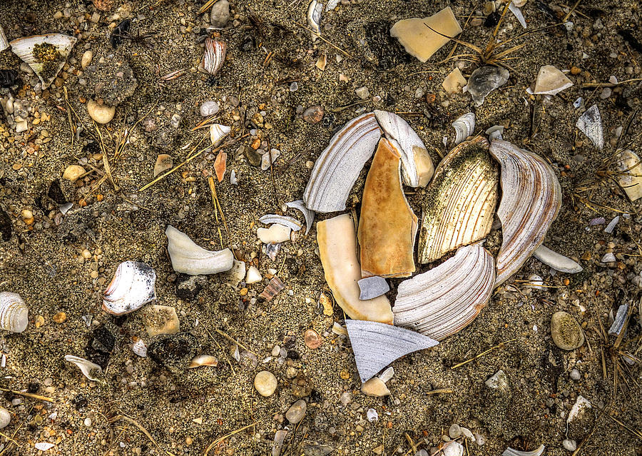 Beach Photograph - Unbreak My Heart by Evelina Kremsdorf Beach Photograph - Unbreak My Heart by Evelina Kremsdorf