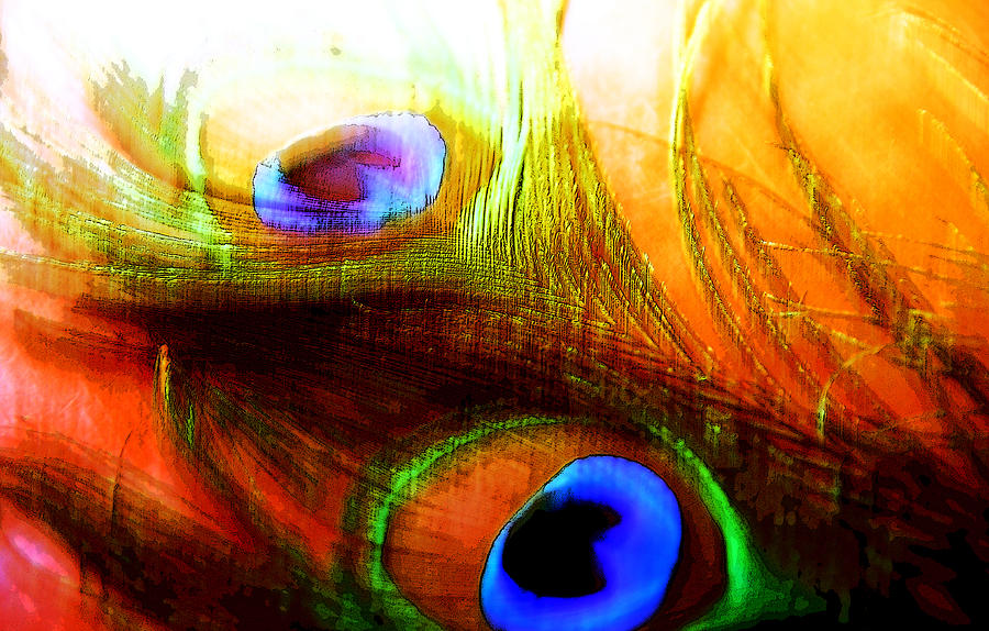 Uncertain Dream. Peacock Feathers Photograph by Jenny Rainbow