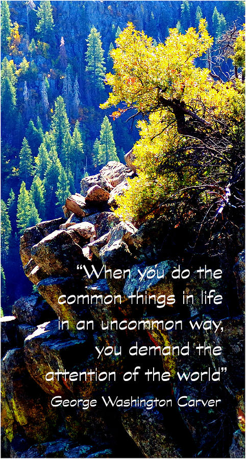 Uncommon Way Photograph by Jerry Sodorff