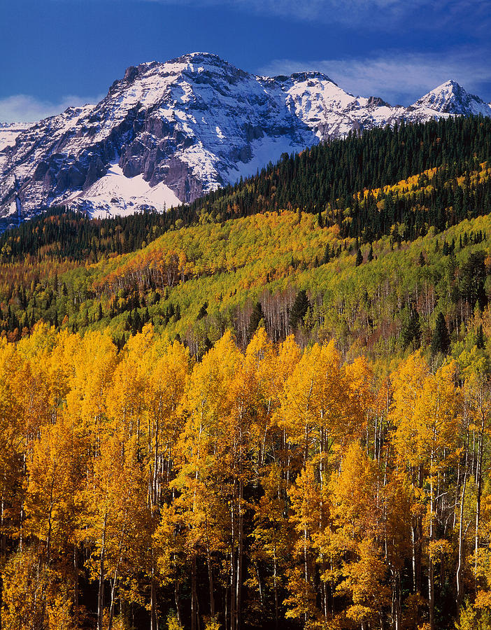 Uncompahgre National Forest Co Usa Photograph by Panoramic Images - Pixels