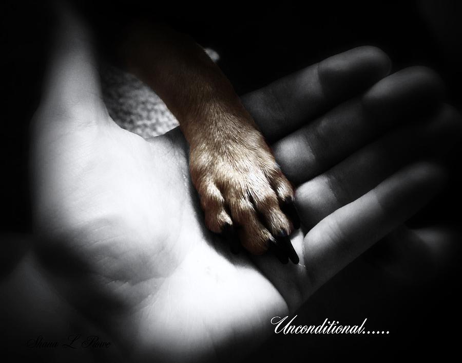Black And White Photograph - Unconditional by Shana Rowe Jackson