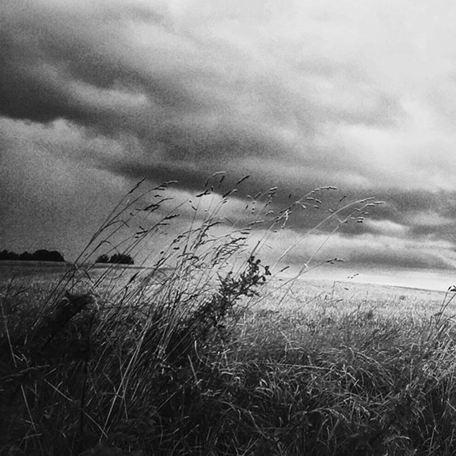 Landscape Photograph - Und Unter Den Wolken Wächst Das by Mandy Tabatt