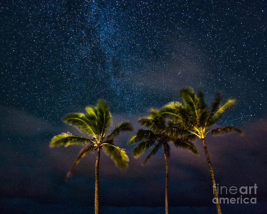 Under a Hawaiian Sky Photograph by Anthony Michael Bonafede
