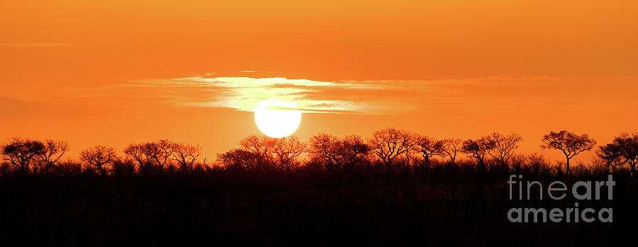 Sunset Photograph - Under African skies by Jane Rix