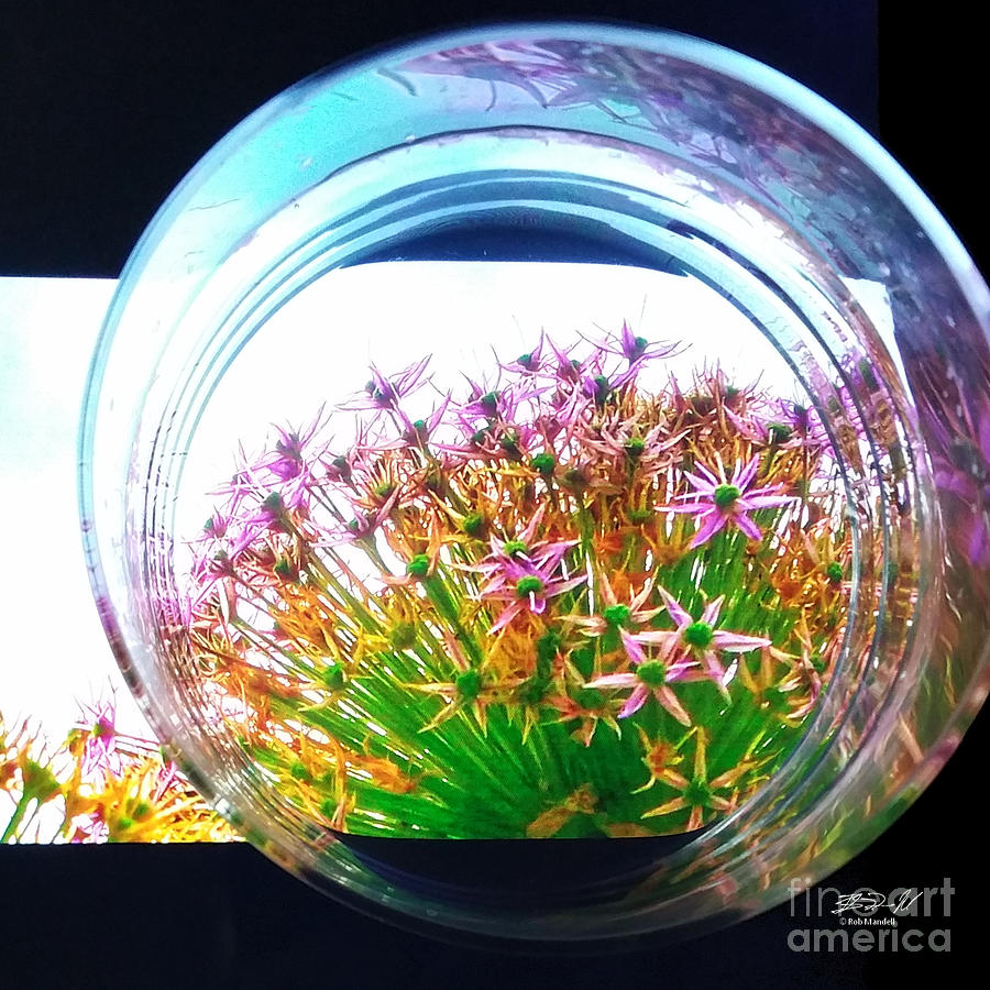 Flowers Still Life Photograph - Under Glass by Rob Mandell