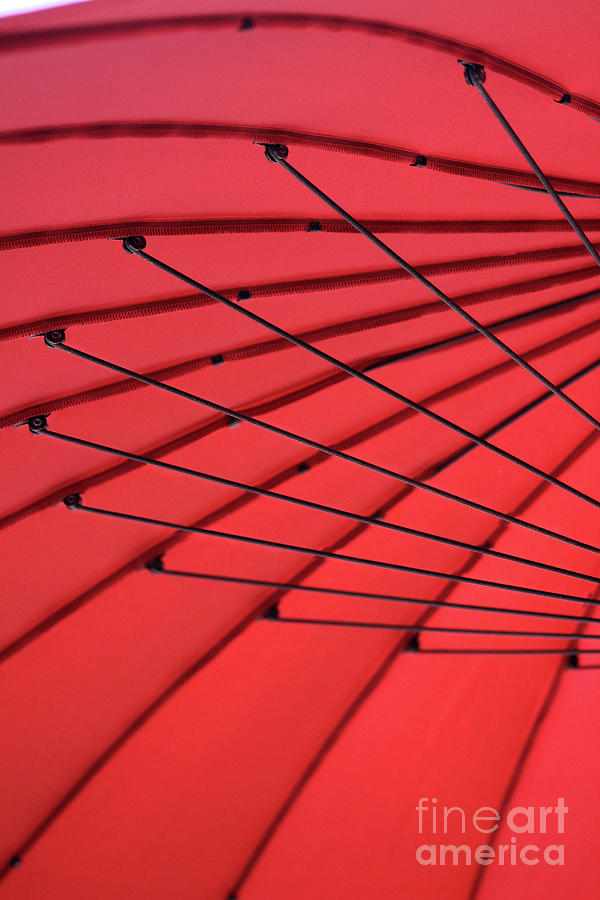 Under My Red Umbrella Photograph by Karen Adams