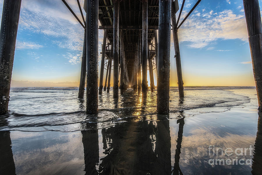 Under Oceanside Pier During Low Tide Photograph by David Levin