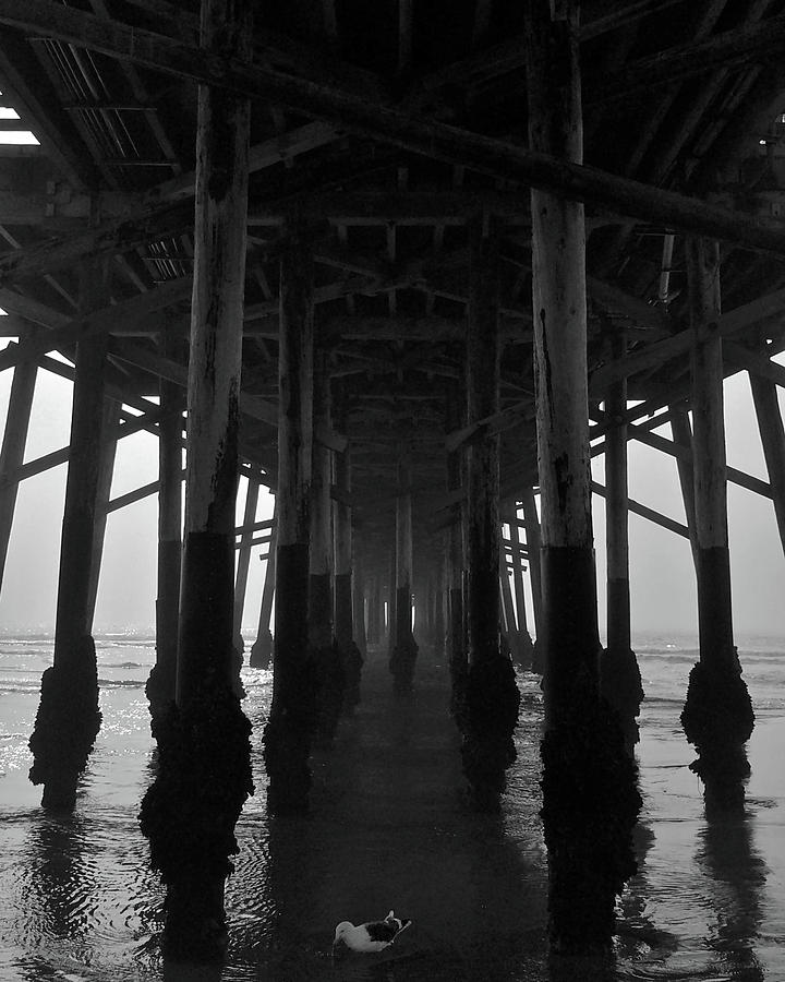 Under Pier With Fog Photograph