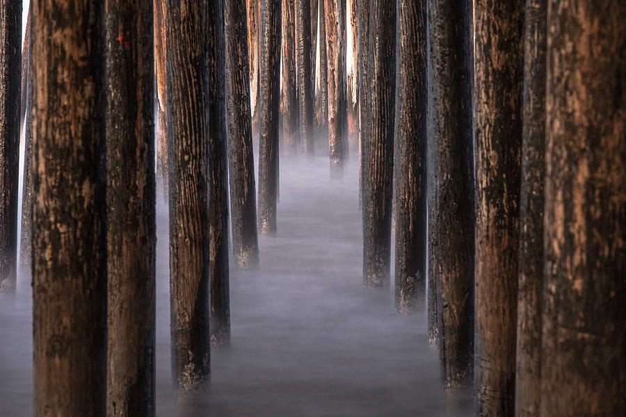Under Pismo Pier in Morning Photograph by John McGraw