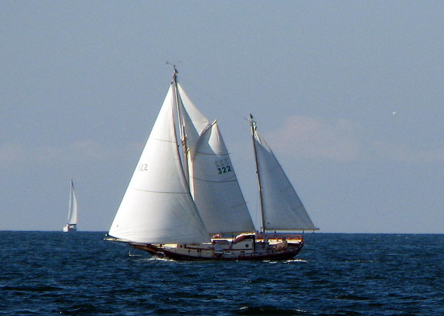Under sail Photograph by T Guy Spencer