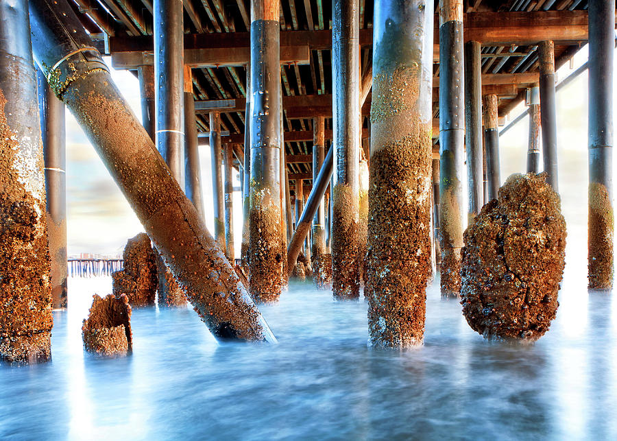 Summer Photograph - Under Stearns Wharf in Santa Barbara California by Good Focused