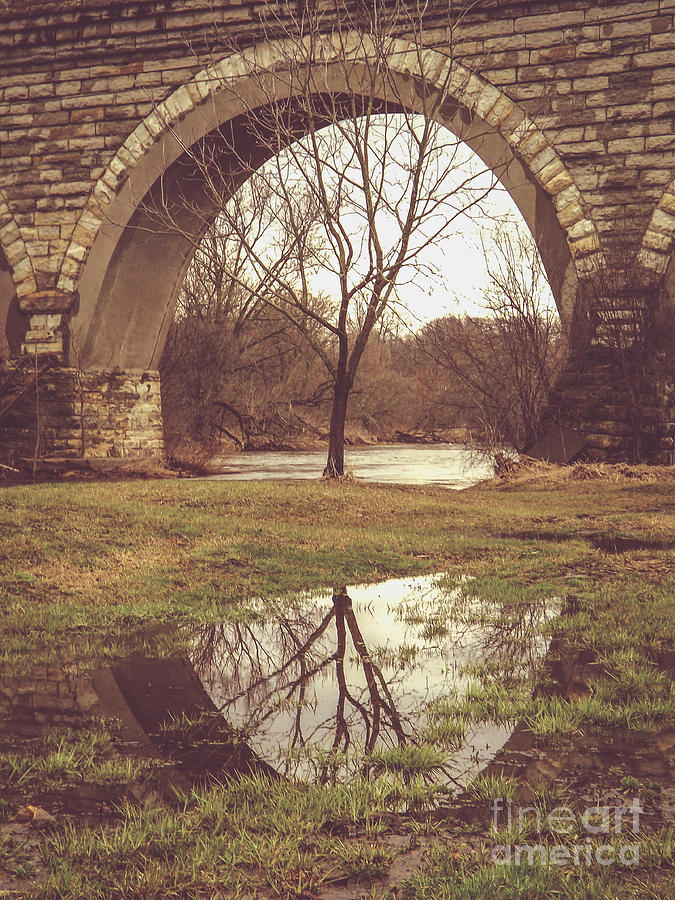 Under the Arch Photograph by Viviana  Nadowski
