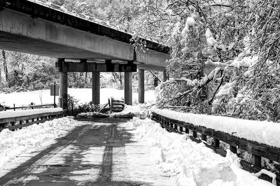 Under The Blue Ridge Parkway In Snow Photograph