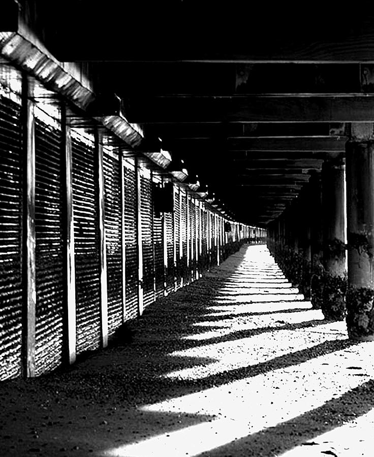 Black And White Photograph - Under the Boardwalk by David Patterson