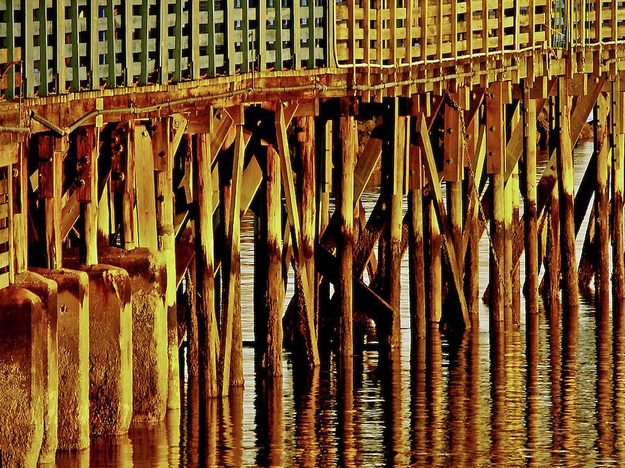 Under The Boardwalk Pier  wall art print Photograph by Carol F Austin