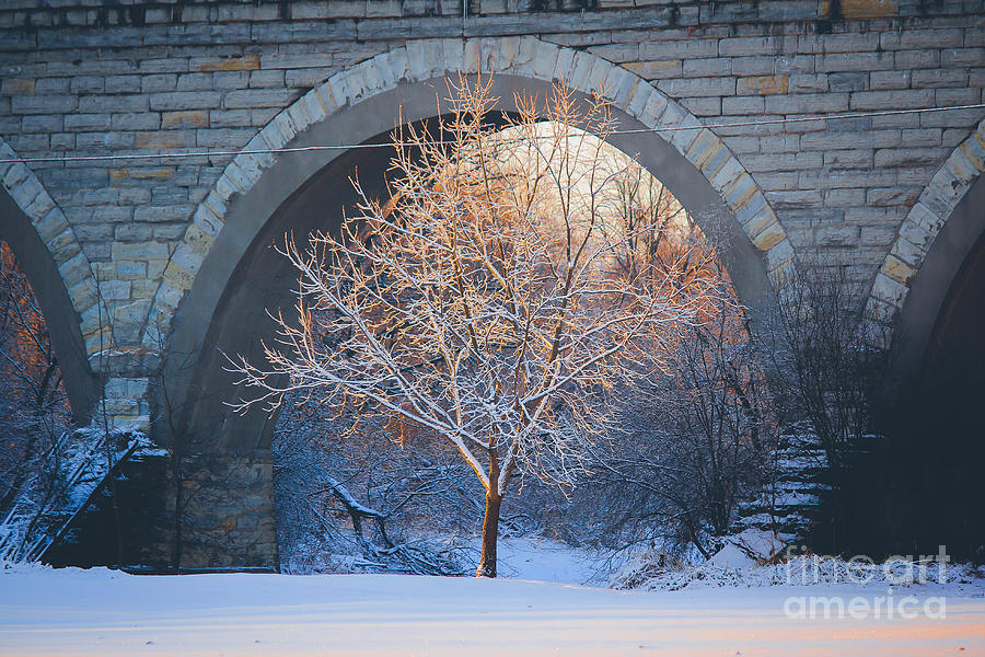 Under the Bridge, A Winters Song Photograph by Viviana Nadowski