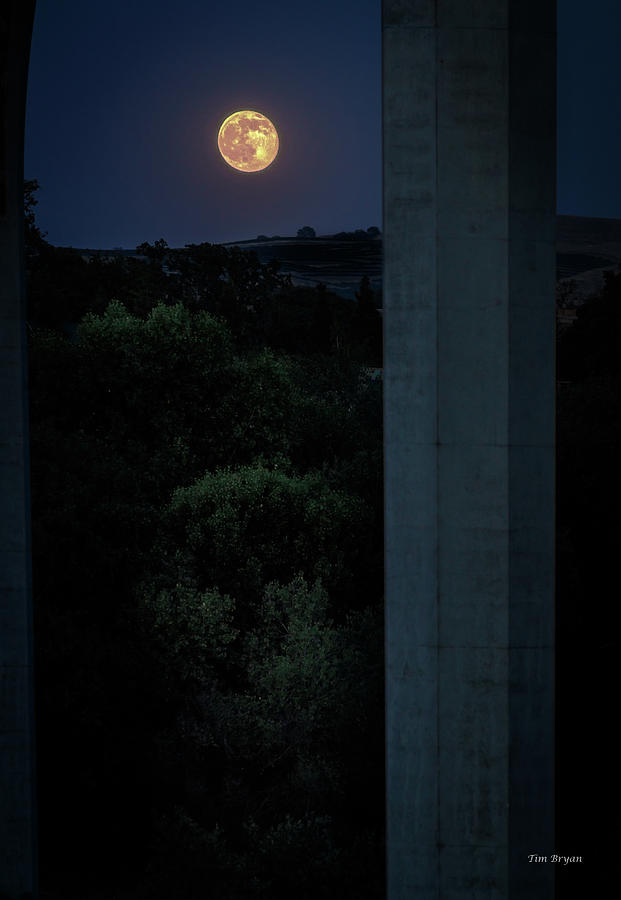 Paso Robles Photograph - Under the Bridge by the Light of the Moon by Tim Bryan