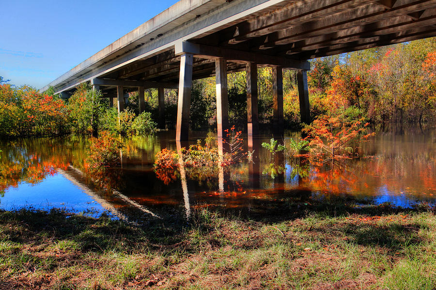 Fall Photograph - Under The Bridge by Ester McGuire