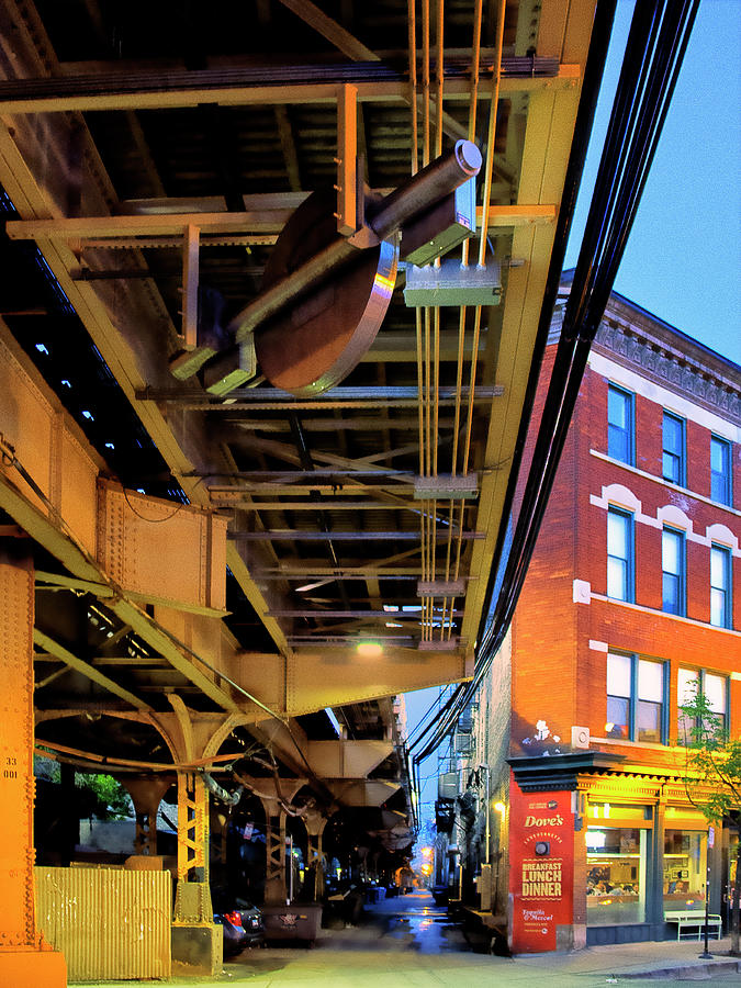 UNDER THE CITY ELEVATED The Chicago L Photograph by William Dey