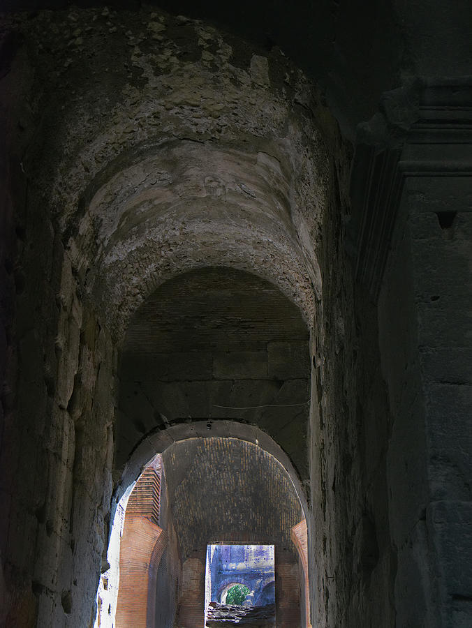 Under the Colosseum Photograph by S Paul Sahm