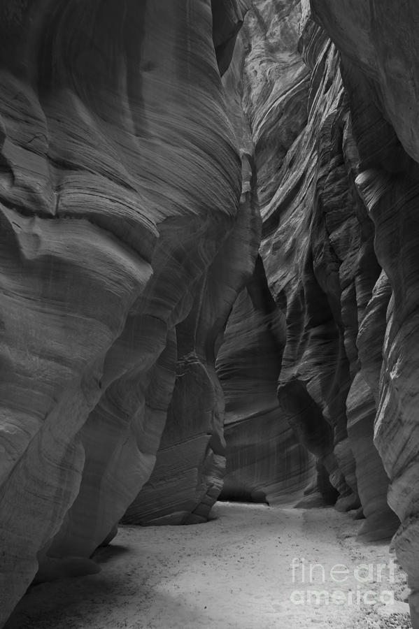 Under The Desert In Black And White Photograph by Adam Jewell