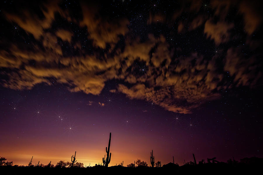 Under The Desert Night Skies  Photograph by Saija Lehtonen