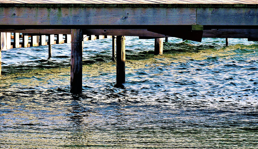 Under The Dock Photograph
