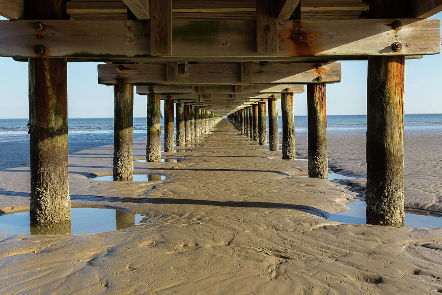 Under The Fishing Pier Photograph