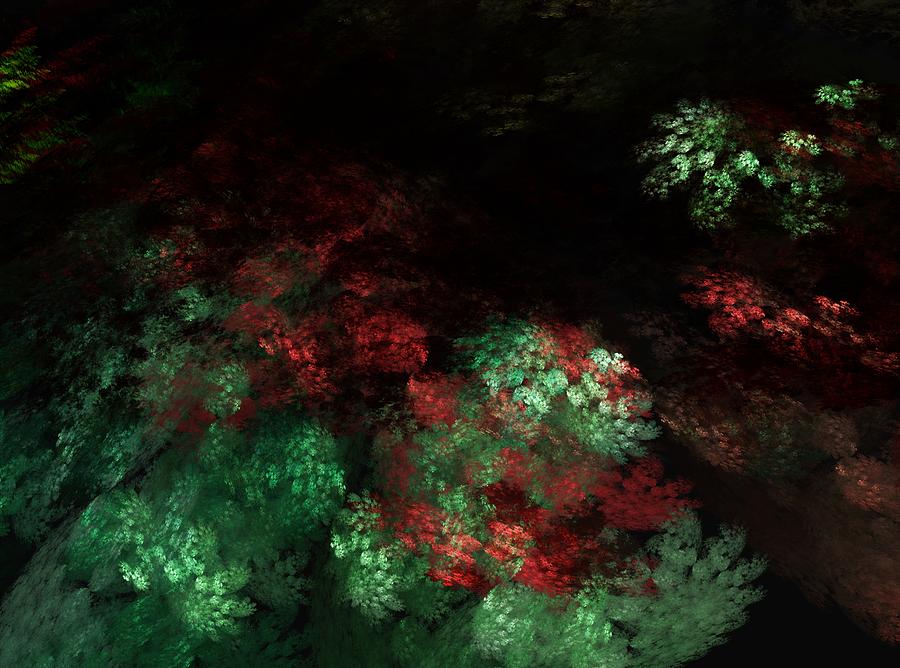 Fantasy Digital Art - Under the forest canopy by David Lane
