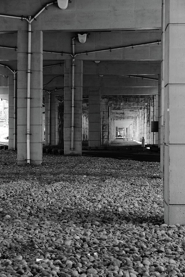Under The Gardiner Photograph by Kreddible Trout