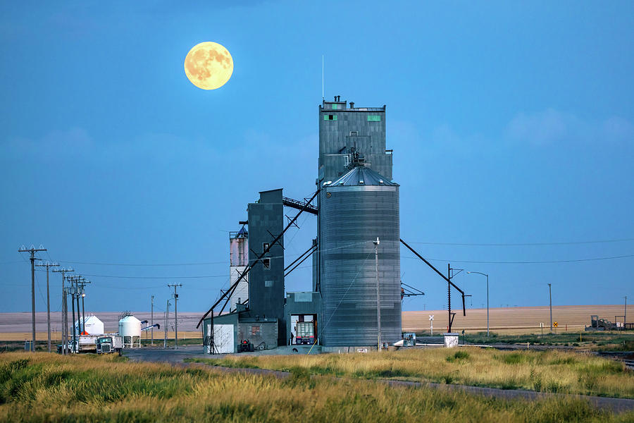 Under the Harvest Moon Photograph by Todd Klassy