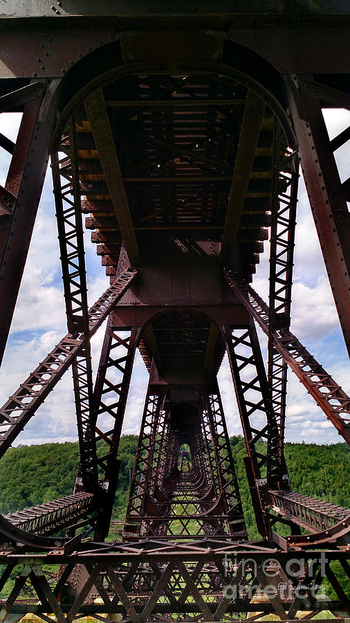 Under the Kinzua Bridge Photograph by E B Schmidt