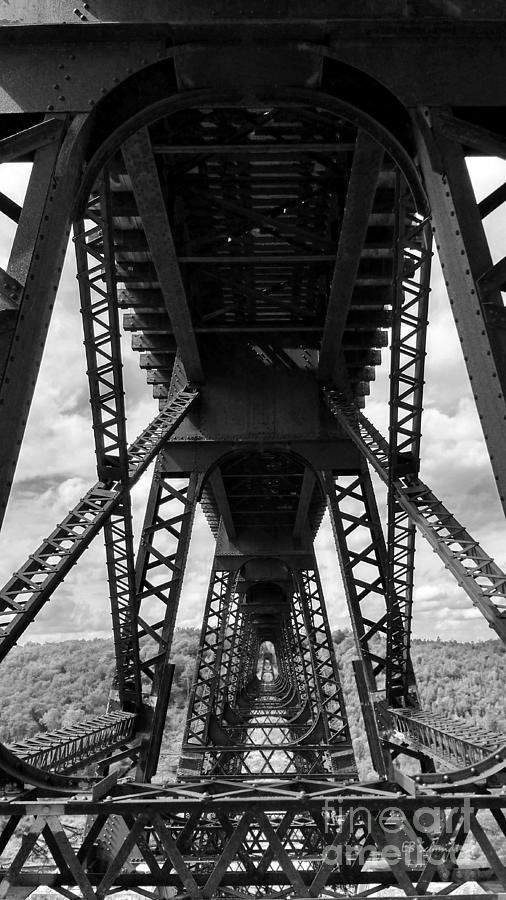 Under the Kinzua Bridge in black and white Photograph by E B Schmidt