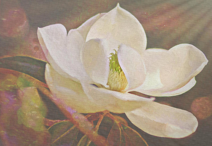 Magnolia Movie Painting - Under the Light by Ches Black