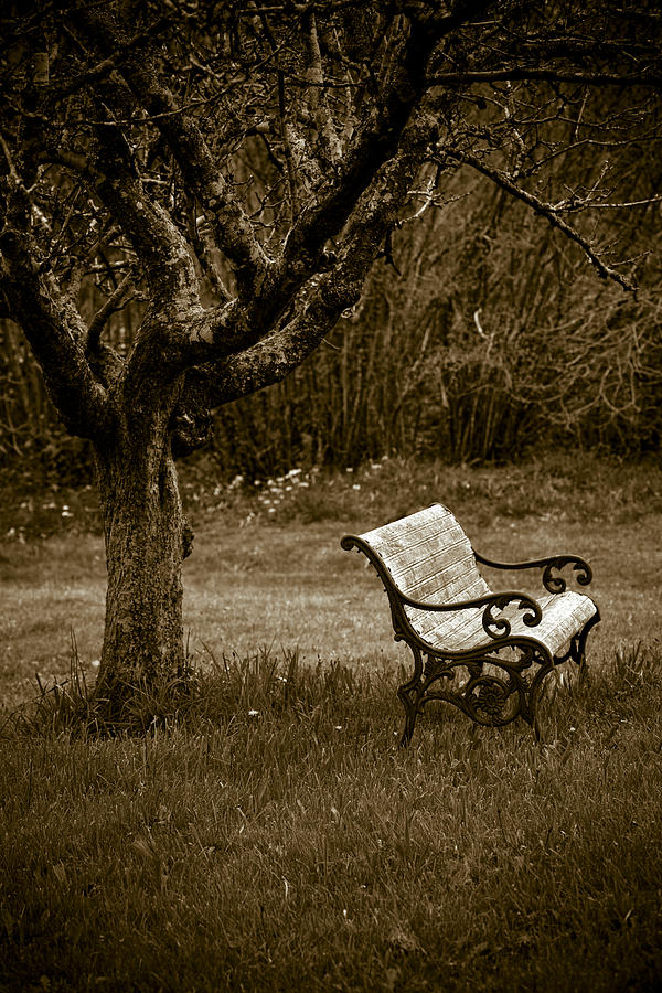 Apple Tree Photograph - Under The Old Apple Tree by Frank Tschakert Apple Tree Photograph - Under The Old Apple Tree by Frank Tschakert
