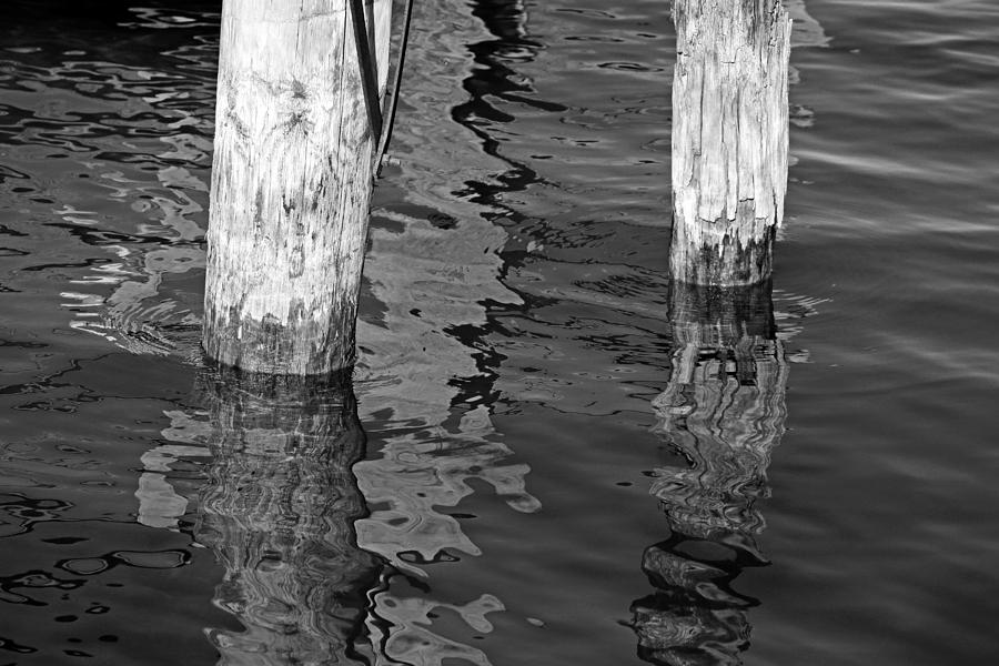 Under the Old Dock BW Photograph by Mary Bedy