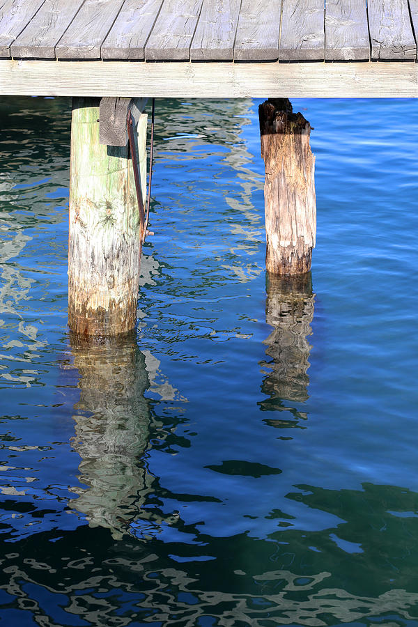 Under the Old Dock with Reflections Photograph by Mary Bedy