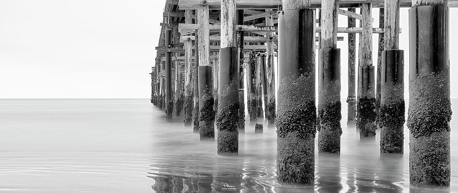 Under the Pier Photograph by Paemon Moghaddas