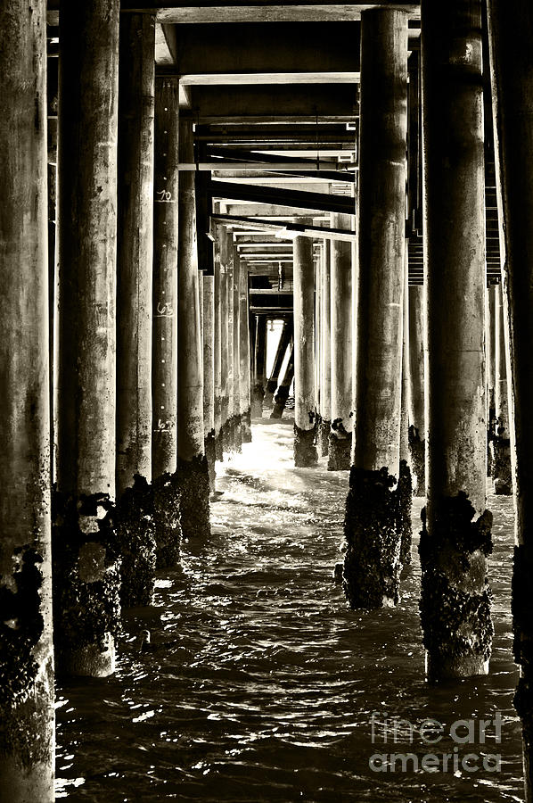 Under the Santa Monica pier 2 #2 Photograph by Micah May