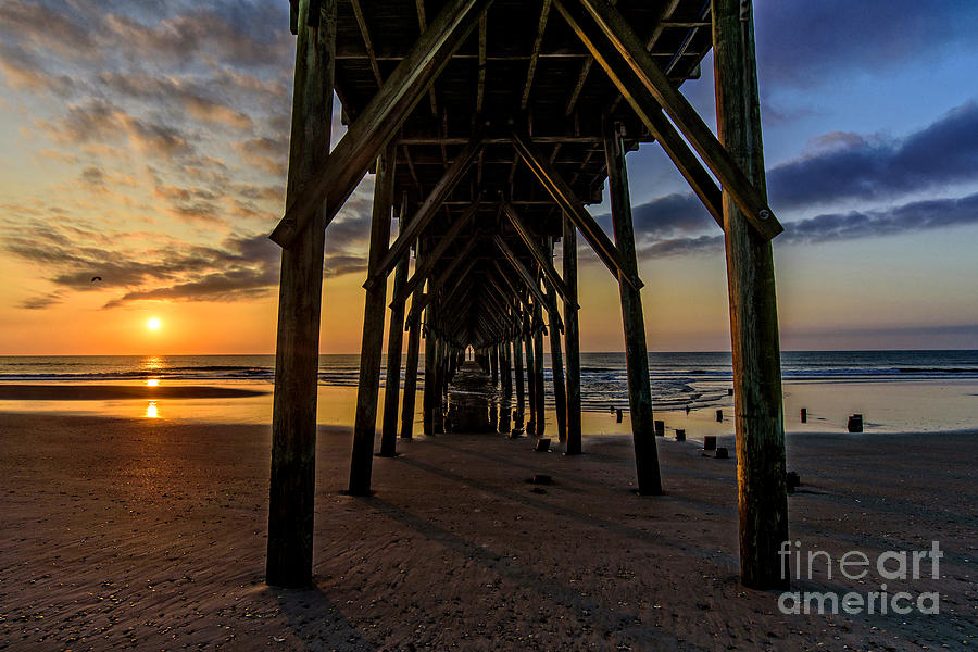 Under the Pier1 Photograph by DJA Images