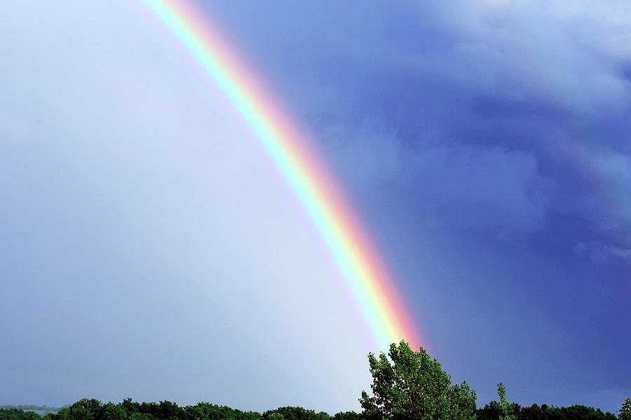 Under the Rainbow Photograph by David Stasiak