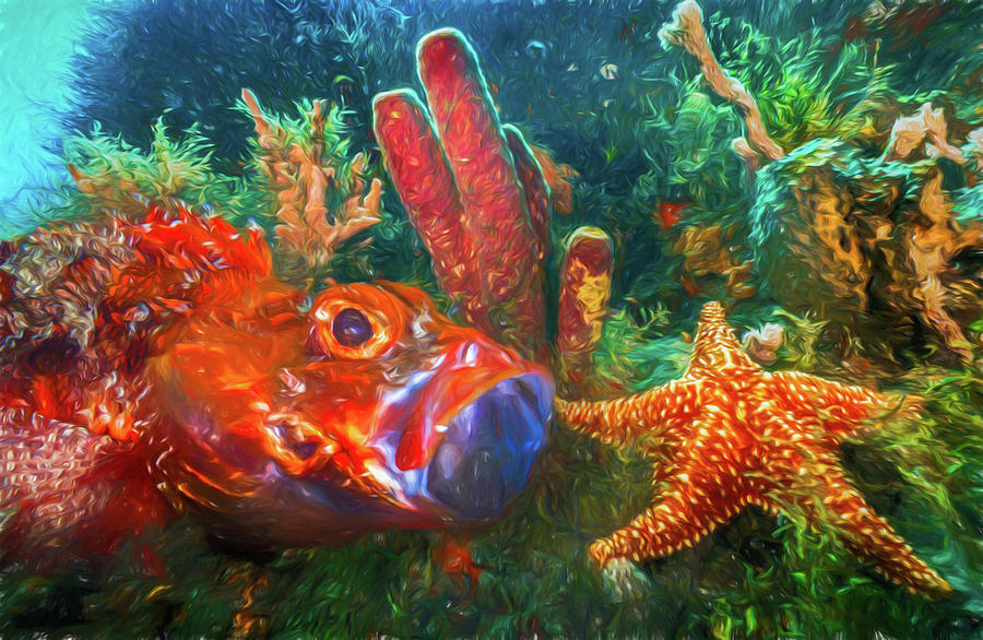 Under the Sea at the Reef Oil Painting Photograph by Debra and Dave Vanderlaan