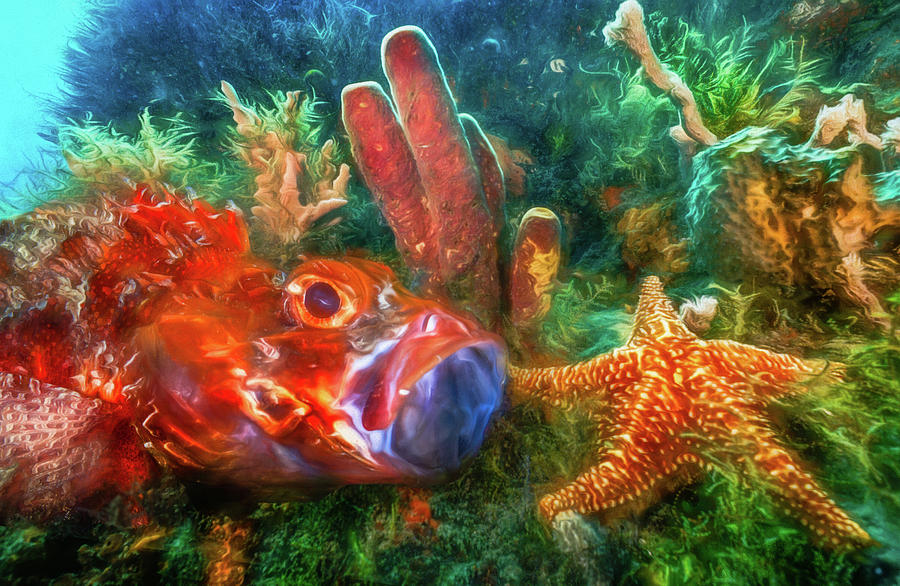 Under the Sea at the Reef Watercolor Painting Photograph by Debra and Dave Vanderlaan