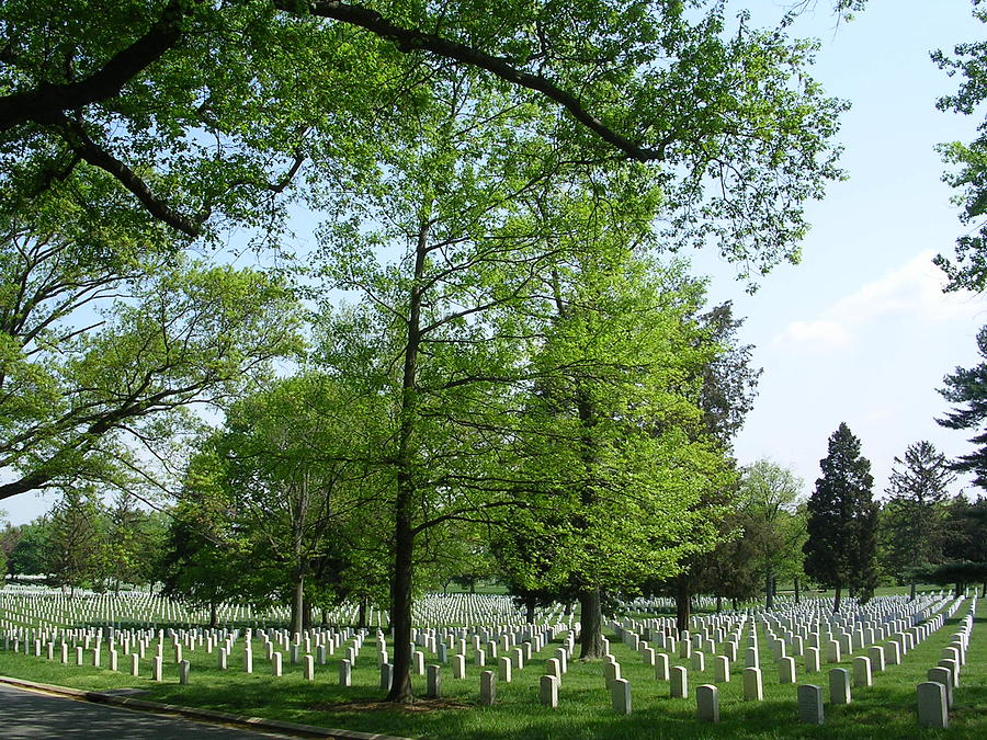 Under the Shade at Arlington National Cemetery Photograph by Don Struke