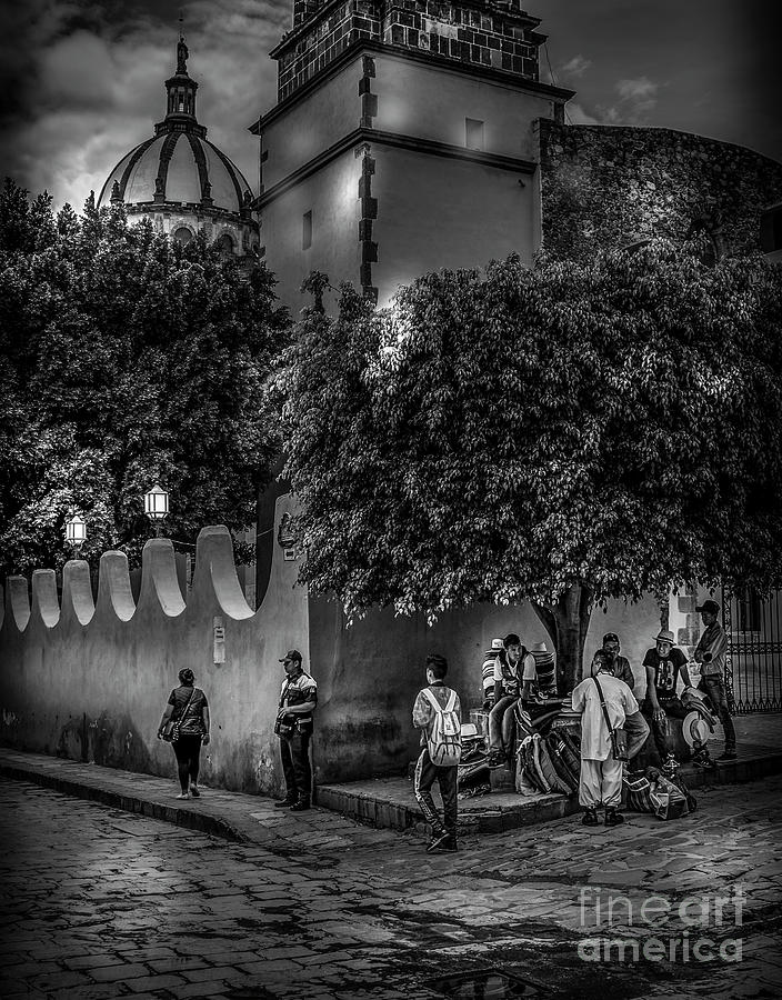 Under the Tree by Barry Weiss Under the Tree by Barry Weiss