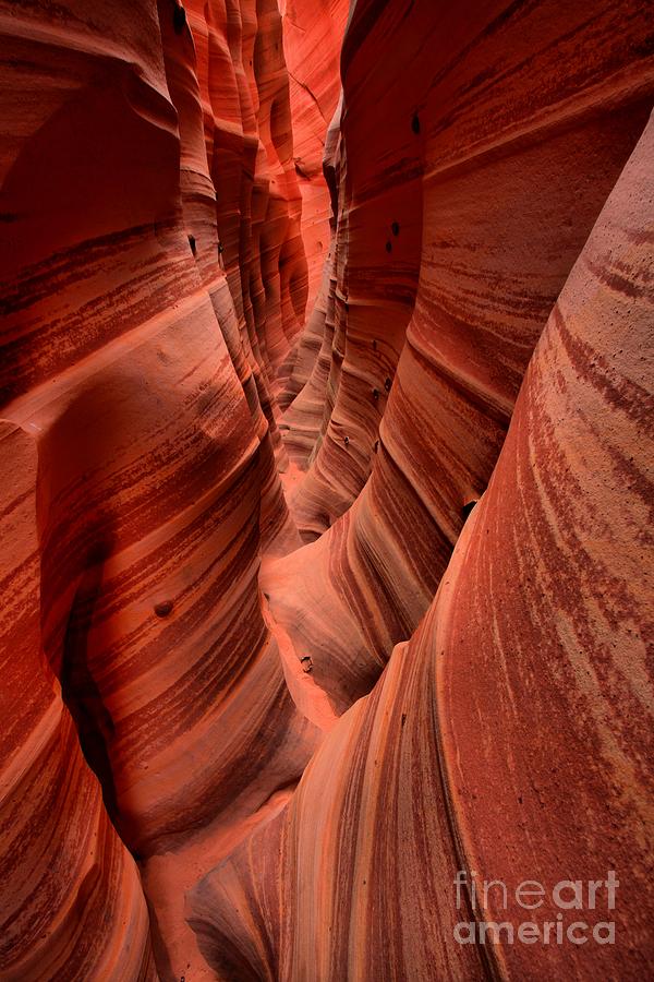 Under The Utah Desert Photograph by Adam Jewell