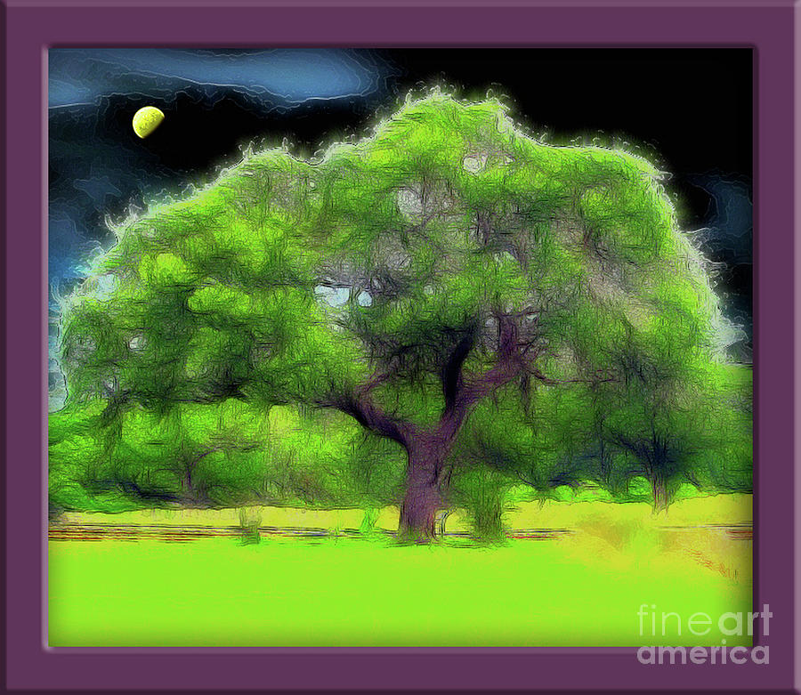 My Image 21