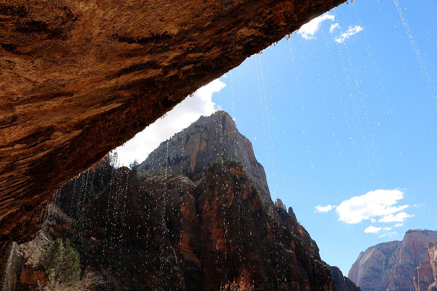 Under the Weeping Wall in Zion National Park  Photograph by Christy Pooschke