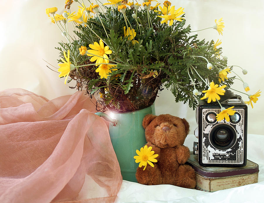 Daisy Photograph - Under the Yellow Flower Too by Gert J Gagiano